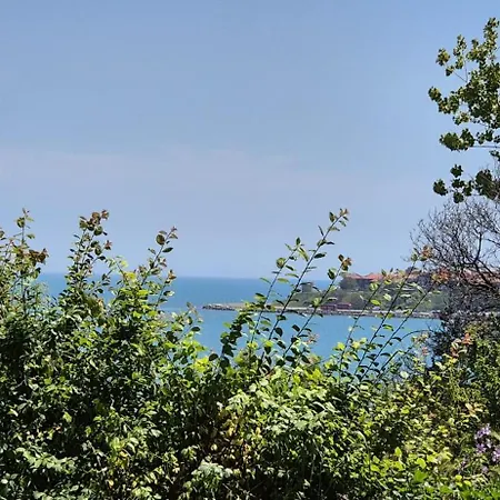 Appartamento Miramar Palace - Planeta 614 *
