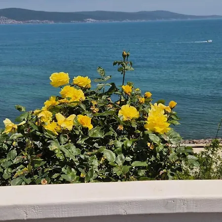 Appartamento Miramar Palace - Planeta 614 Sunny Beach